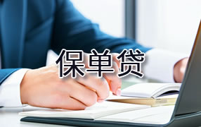 岳阳保单贷