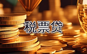 岳阳税票贷
