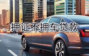 岳阳押证不押车贷款